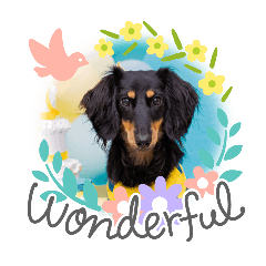 kinako_20251019003505