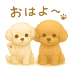 毛茸茸小狗提貝莉的日常貼圖