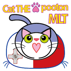 CatTHE proton MLT