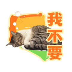 nancynini_20251019204833