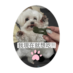 蔡小冰