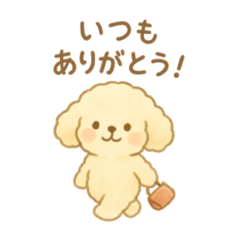 latte store_20251020125922