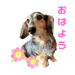 hana_20251020125521
