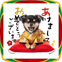 動くチワワ♡あけおめ年賀状