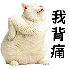 Fat White Cat [TW ]