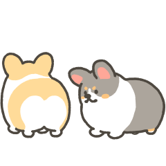 1corgi animation stickers6