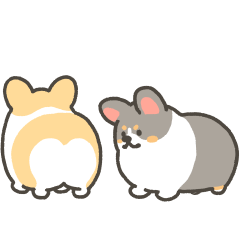 1corgi animation stickers6