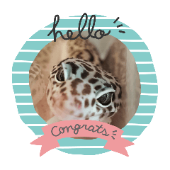 nikazakitaikun_20251019131549