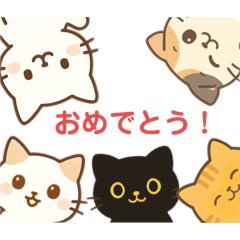 mikan_20251019151827