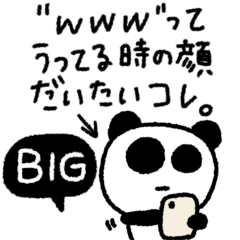 BIG My name is panda #5