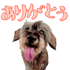 okikusanchinosumomochan