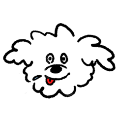 Just a Fluffy White Dog