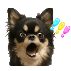 sakukae_20251019215113