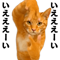 Dancing! Side-to-side sway-cat