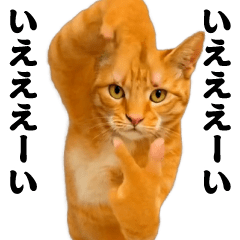 踊る！横揺れ界隈/にゃんこ/猫/ねこ/ネコ