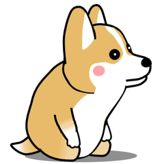 激しく尻尾をふるコーギー2