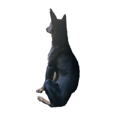 毛毛 麻糬 土豆