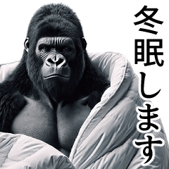 【冬】イケメンゴリラ