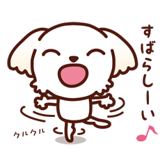 マルチーズ_モモのやさしい心