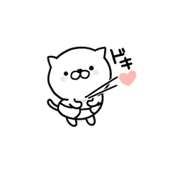 Lovely baby cat mini