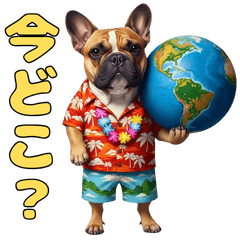 The serious and honest French Bulldog