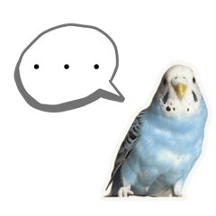 Honey_20251020143443