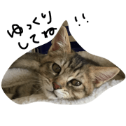 tabby cat gauche6