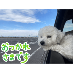 Makoto_20251020163857