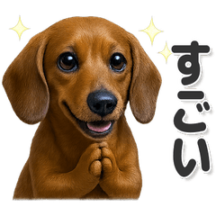 毎日使える!かわいいダックスフンド - LINE スタンプ | LINE STORE 毎日使える!かわいいダックスフンド - LINE スタンプ | LINE STORE