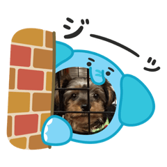 rinko_20251020172141