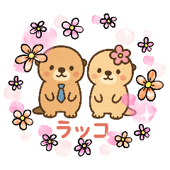 CHAIRO_20251020171054