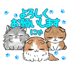 hinachi_20251020185445