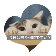 Misaki_20251020194815