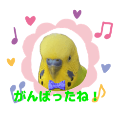 marumo_20251020185144