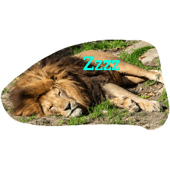 nikazakitaikun_20251020172636