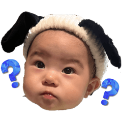 pochi_20251020173936