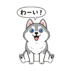 inoino_20251020162005