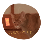 I am moko. 2nd.
