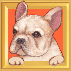 【フレブル】動く！飛び出すお祝いセット