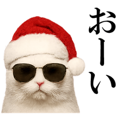 Merry Christmas Cat with sunglasses