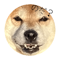 HIMAWARI_20251020195320