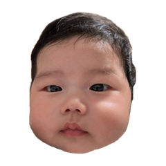 sasasau_20251020230246