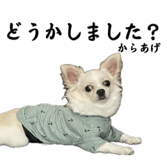 Matsu_20251020230201