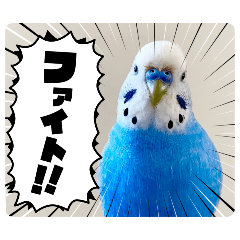 panchan_20251020202912