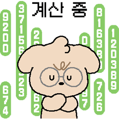 fluffy little cutie, LaPoo 6 (KOR)