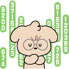 fluffy little cutie, LaPoo 6