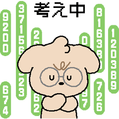 fluffy little cutie, LaPoo 6 (JPN)