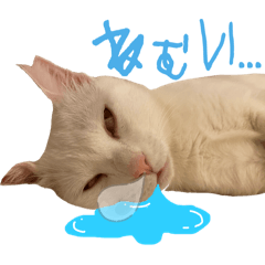 natsu_20251021011254