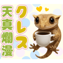 クレステッドゲッコーの天真爛漫