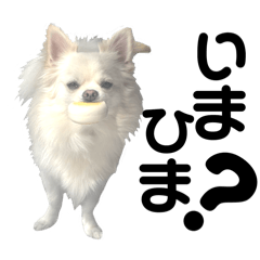 m_20251021033825